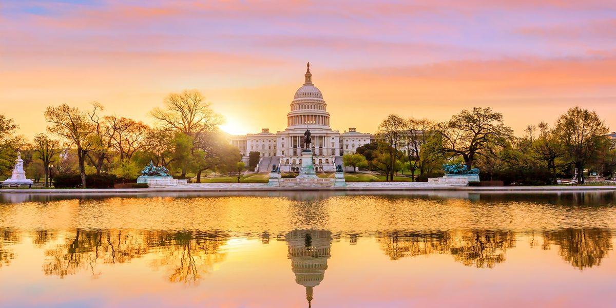 DC shared living