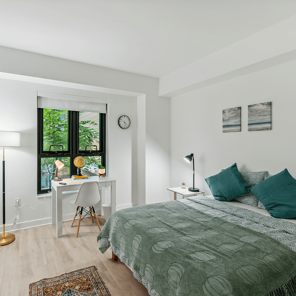 Cozy community lounge area